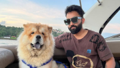 Adventure Speed boating in Goa